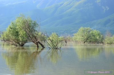 Κάντε κλικ για να δείτε την εικόνα σε πλήρες μέγεθος